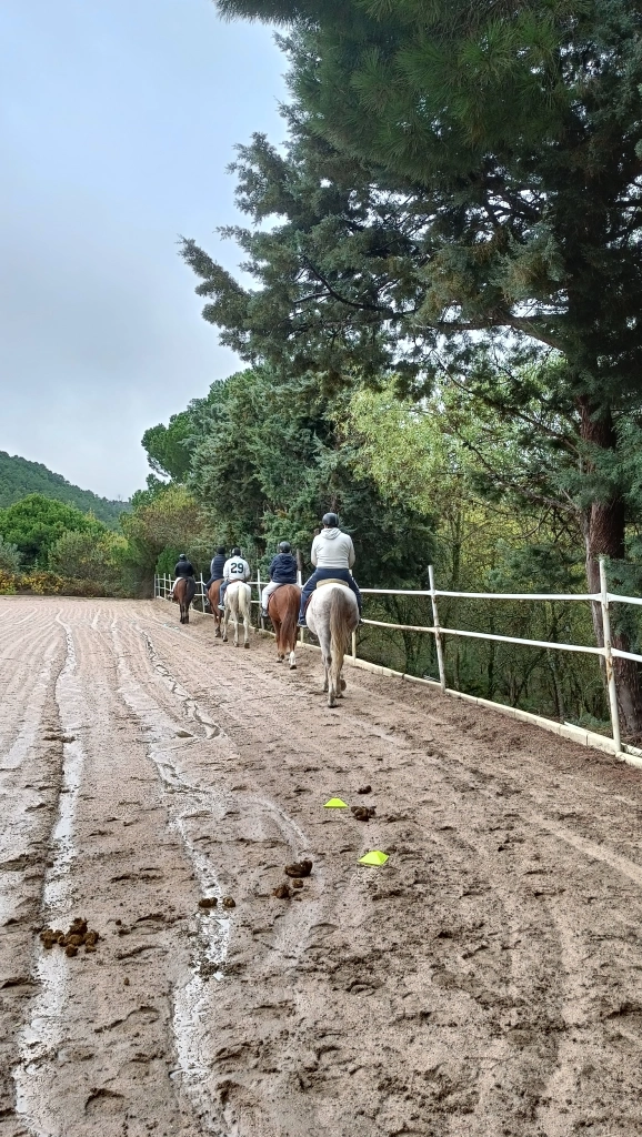 Equinoterapia en alena Sierra Oeste