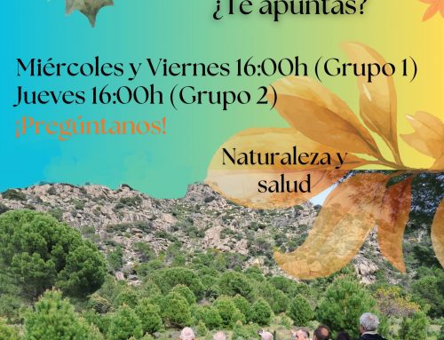 Volvemos a caminar: regreso del programa de senderismo en Alena Sierra Oeste 🌿