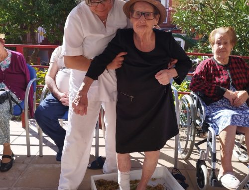 Fiesta de la Vendimia en Alena Cadalso: tradición, alegría y recuerdos 🍇