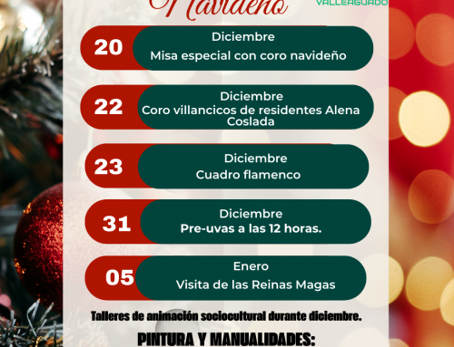 🎄 Programación Navideña 2025 en Alena Valleaguado