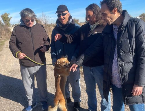 Voluntariado con sentido: Alena Coslada en la Protectora de Animales de Mejorada